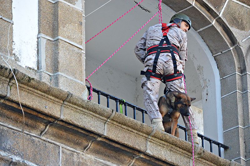 unidad-cinologica-1-011215