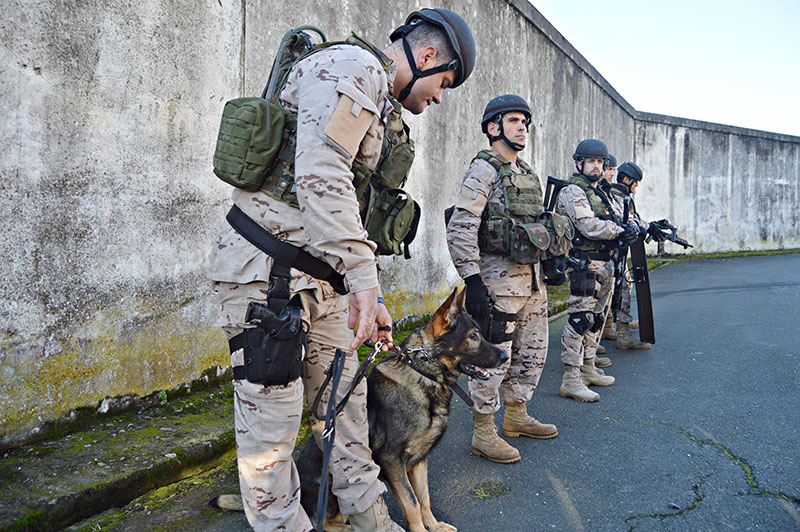 unidad-cinologica-13-011215