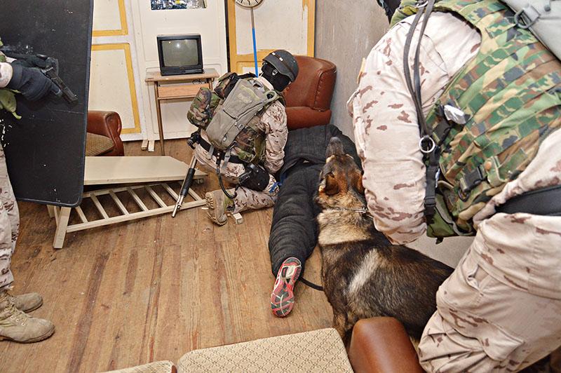 unidad-cinologica-19-011215