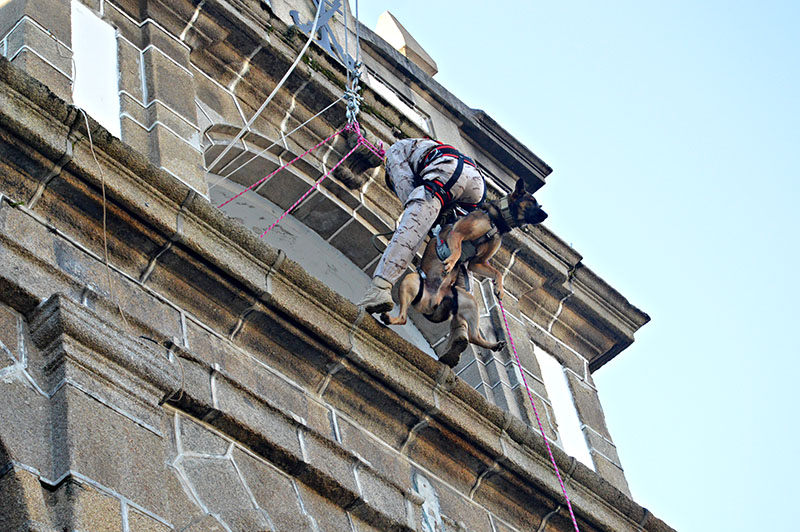 unidad-cinologica-2-011215