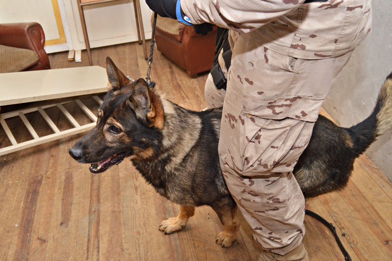 unidad-cinologica-21-011215