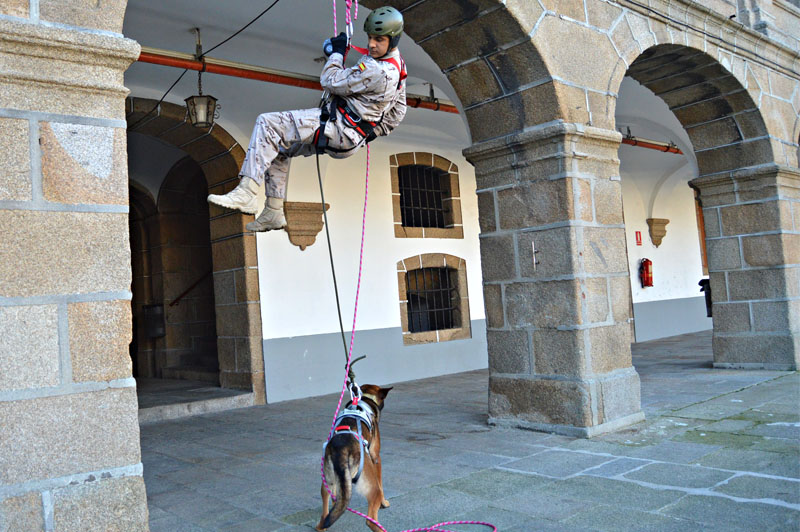 unidad-cinologica-4-011215