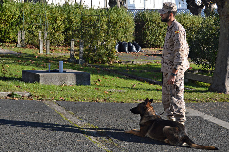 unidad-cinologica-6-011215