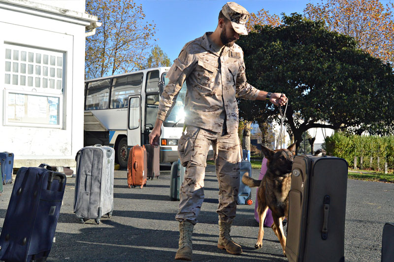 unidad-cinologica-8-011215