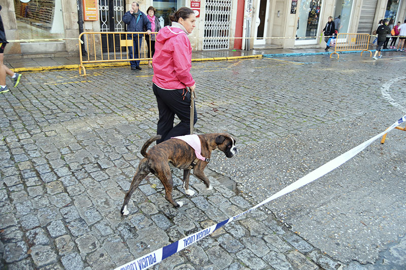 corre-por-ferrol-2014-8