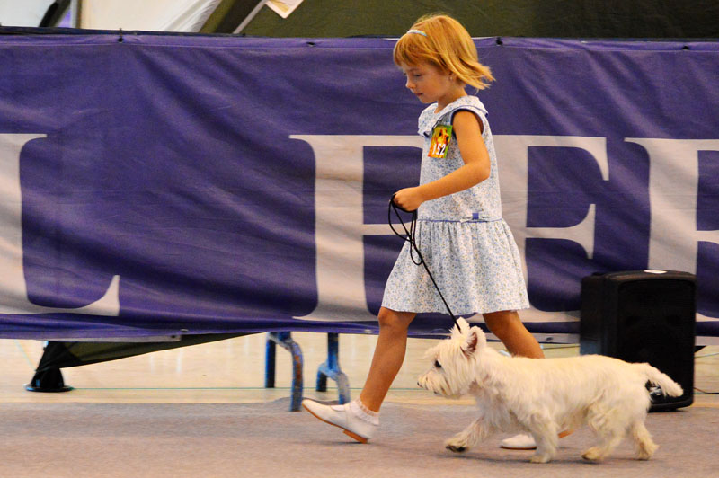 dog-show-6-200915