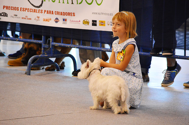 dog-show-7-200915