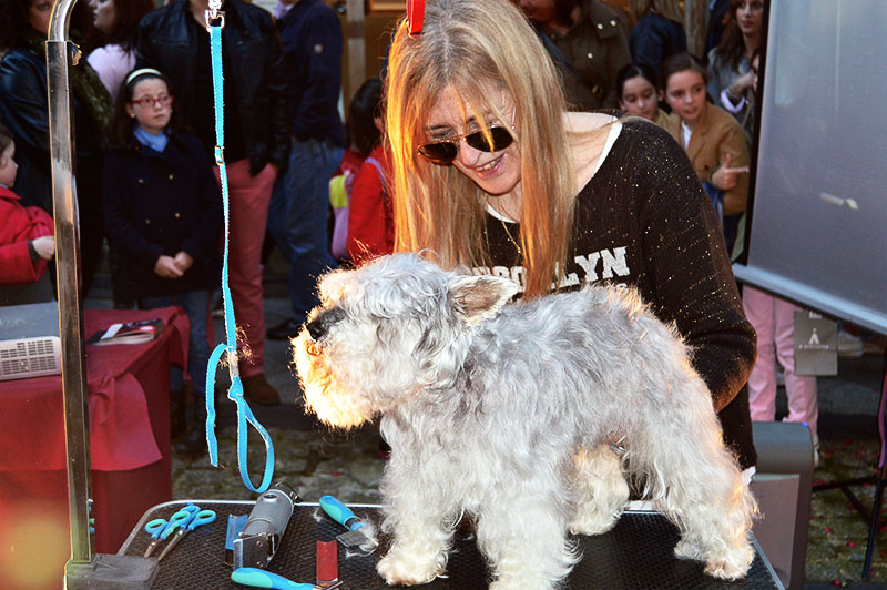 fashion-night-2014-13