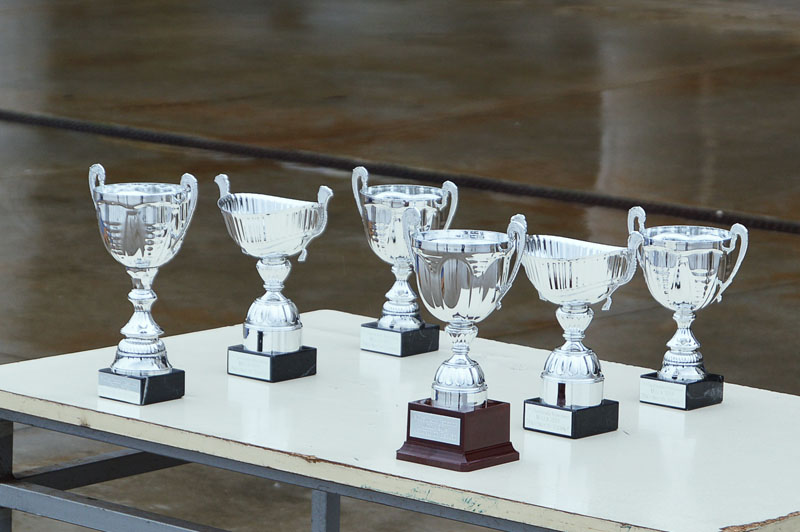 milla-escaño-13-2014