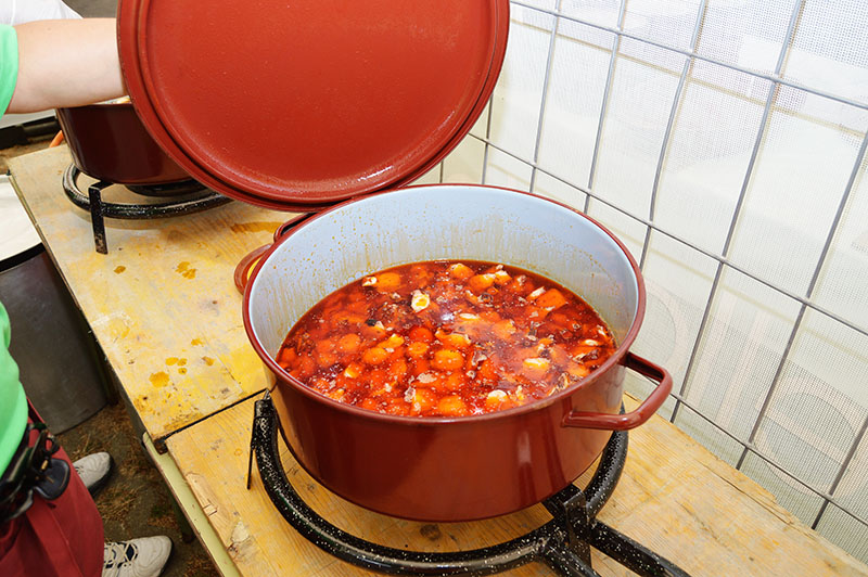 polbo-mugardos-2015-13