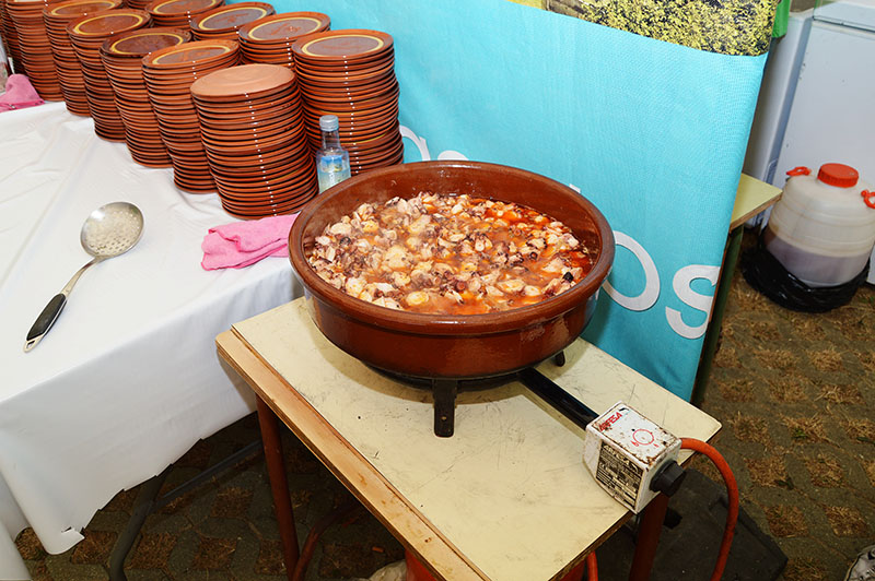 polbo-mugardos-2015-15