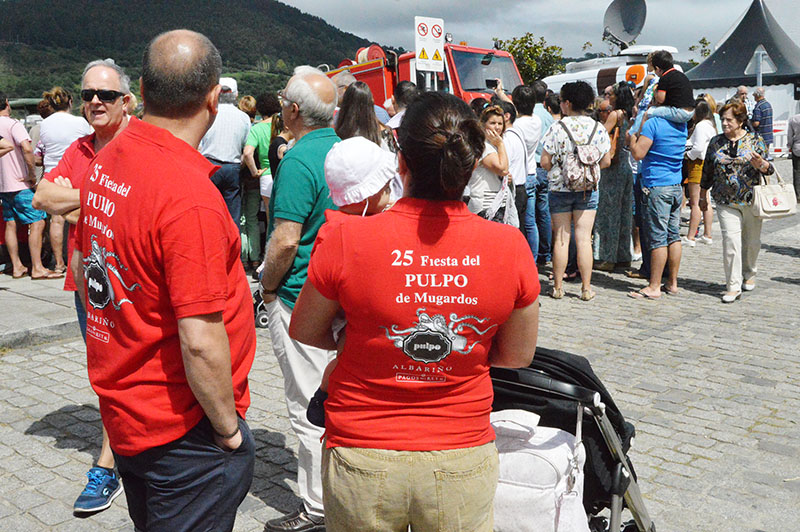 polbo-mugardos-2015-2