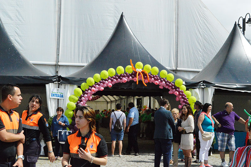 polbo-mugardos-2015-4