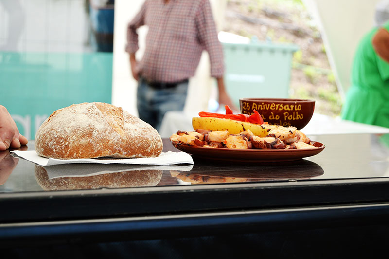 polbo-mugardos-2015-5