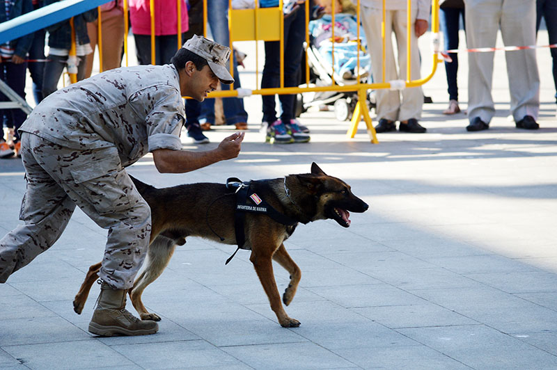 unidad-cinologica-16-060615