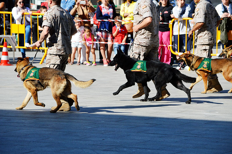 unidad-cinologica-2-060615