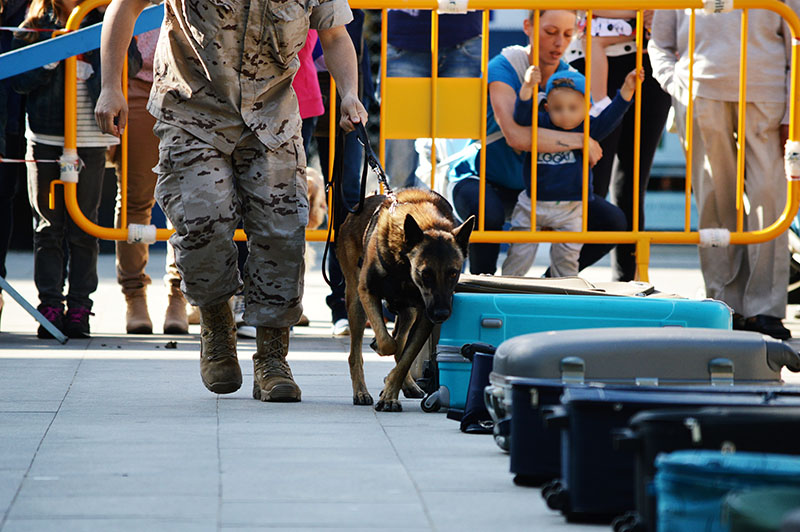 unidad-cinologica-20-060615