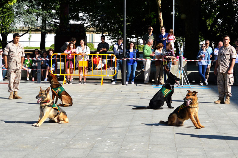unidad-cinologica-6-060615