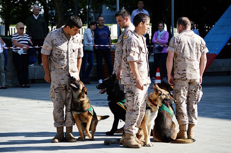 unidad-cinologica-8-060615